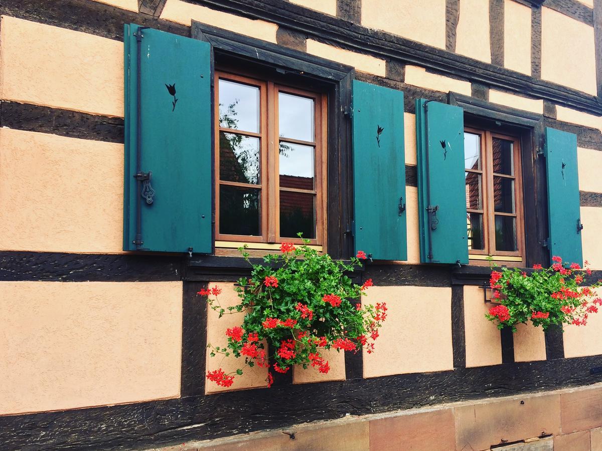 Schillersdorf Chambres D'Hotes S'Burehiesel المظهر الخارجي الصورة